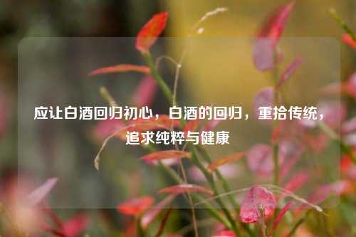 应让白酒回归初心，白酒的回归，重拾传统，追求纯粹与健康