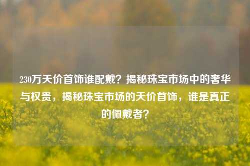 230万天价首饰谁配戴？揭秘珠宝市场中的奢华与权贵，揭秘珠宝市场的天价首饰，谁是真正的佩戴者？