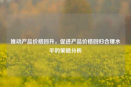 推动产品价格回升，促进产品价格回归合理水平的策略分析