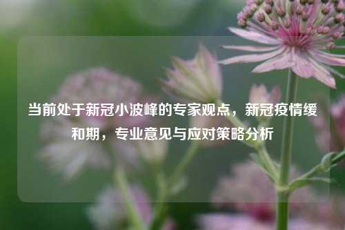 当前处于新冠小波峰的专家观点，新冠疫情缓和期，专业意见与应对策略分析
