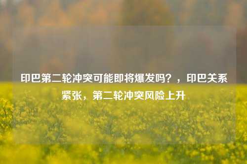 印巴第二轮冲突可能即将爆发吗？，印巴关系紧张，第二轮冲突风险上升
