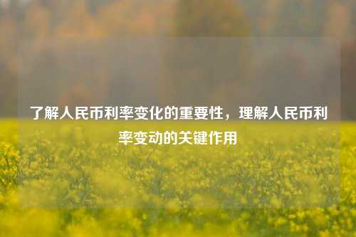 了解人民币利率变化的重要性，理解人民币利率变动的关键作用