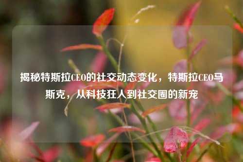 揭秘特斯拉CEO的社交动态变化，特斯拉CEO马斯克，从科技狂人到社交圈的新宠