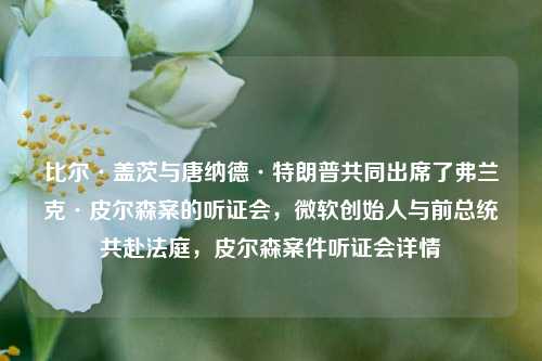 比尔·盖茨与唐纳德·特朗普共同出席了弗兰克·皮尔森案的听证会，微软创始人与前总统共赴法庭，皮尔森案件听证会详情