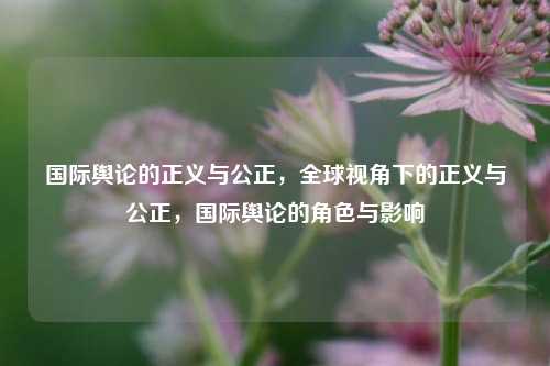 国际舆论的正义与公正，全球视角下的正义与公正，国际舆论的角色与影响