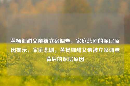 黄杨钿甜父亲被立案调查，家庭悲剧的深层原因揭示，家庭悲剧，黄杨钿甜父亲被立案调查背后的深层原因
