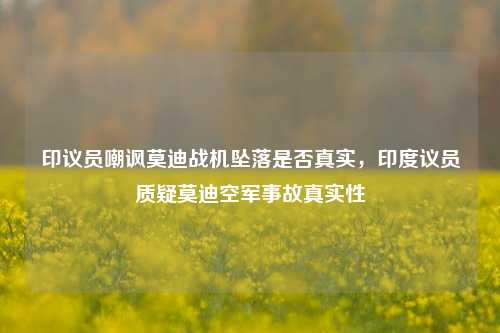 印议员嘲讽莫迪战机坠落是否真实，印度议员质疑莫迪空军事故真实性
