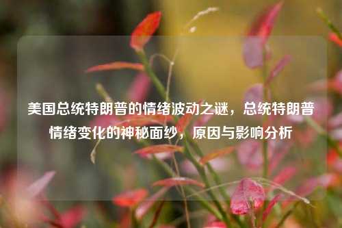 美国总统特朗普的情绪波动之谜，总统特朗普情绪变化的神秘面纱，原因与影响分析
