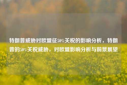 特朗普威胁对欧盟征50%关税的影响分析，特朗普的50%关税威胁，对欧盟影响分析与前景展望