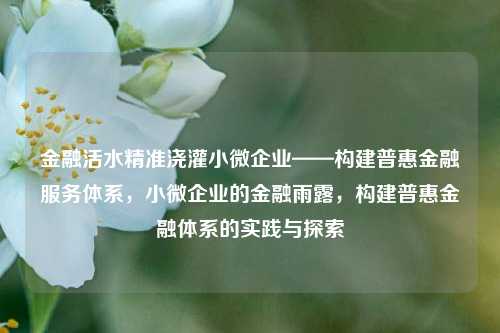 金融活水精准浇灌小微企业——构建普惠金融服务体系，小微企业的金融雨露，构建普惠金融体系的实践与探索