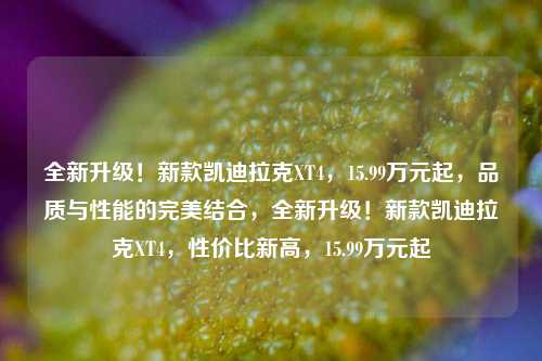 全新升级！新款凯迪拉克XT4，15.99万元起，品质与性能的完美结合，全新升级！新款凯迪拉克XT4，性价比新高，15.99万元起