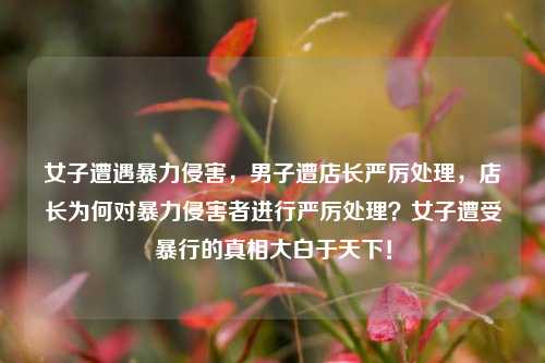 女子遭遇暴力侵害，男子遭店长严厉处理，店长为何对暴力侵害者进行严厉处理？女子遭受暴行的真相大白于天下！