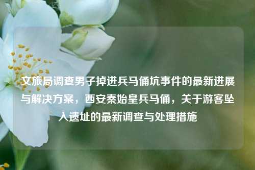 文旅局调查男子掉进兵马俑坑事件的最新进展与解决方案，西安秦始皇兵马俑，关于游客坠入遗址的最新调查与处理措施