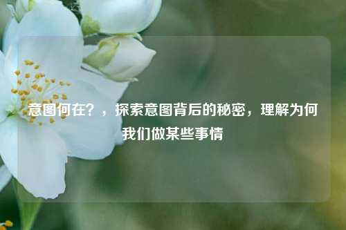 意图何在？，探索意图背后的秘密，理解为何我们做某些事情