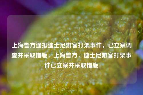 上海警方通报迪士尼游客打架事件，已立案调查并采取措施，上海警方，迪士尼游客打架事件已立案并采取措施
