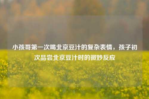 小孩哥第一次喝北京豆汁的复杂表情，孩子初次品尝北京豆汁时的微妙反应