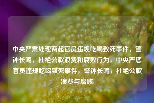 中央严肃处理两起官员违规吃喝致死事件，警钟长鸣，杜绝公款浪费和腐败行为，中央严惩官员违规吃喝致死事件，警钟长鸣，杜绝公款浪费与腐败