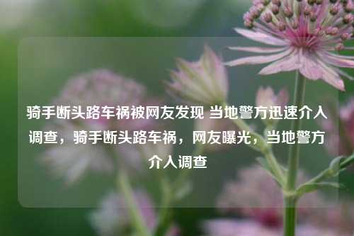 骑手断头路车祸被网友发现 当地警方迅速介入调查，骑手断头路车祸，网友曝光，当地警方介入调查