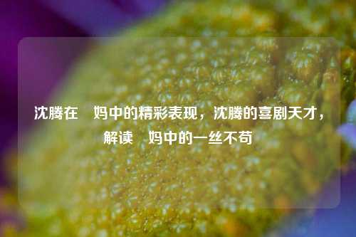 沈腾在囧妈中的精彩表现，沈腾的喜剧天才，解读囧妈中的一丝不苟