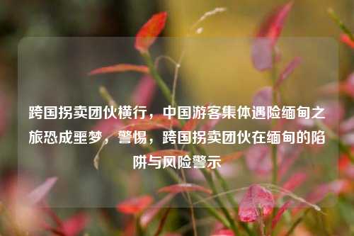 跨国拐卖团伙横行，中国游客集体遇险缅甸之旅恐成噩梦，警惕，跨国拐卖团伙在缅甸的陷阱与风险警示