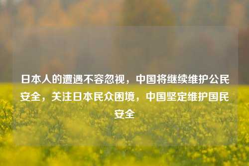 日本人的遭遇不容忽视，中国将继续维护公民安全，关注日本民众困境，中国坚定维护国民安全
