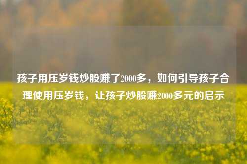 孩子用压岁钱炒股赚了2000多，如何引导孩子合理使用压岁钱，让孩子炒股赚2000多元的启示