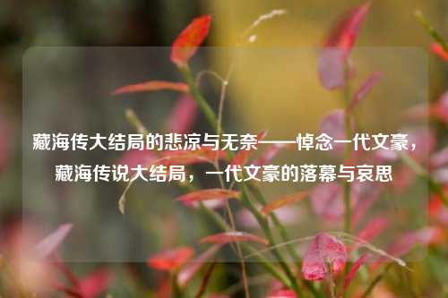 藏海传大结局的悲凉与无奈——悼念一代文豪，藏海传说大结局，一代文豪的落幕与哀思