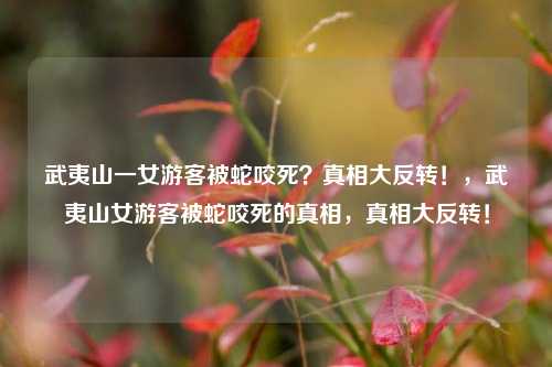 武夷山一女游客被蛇咬死？真相大反转！，武夷山女游客被蛇咬死的真相，真相大反转！