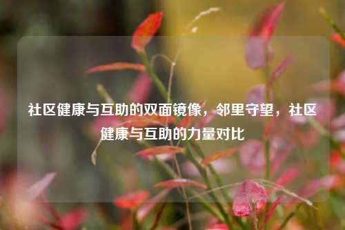 社区健康与互助的双面镜像，邻里守望，社区健康与互助的力量对比