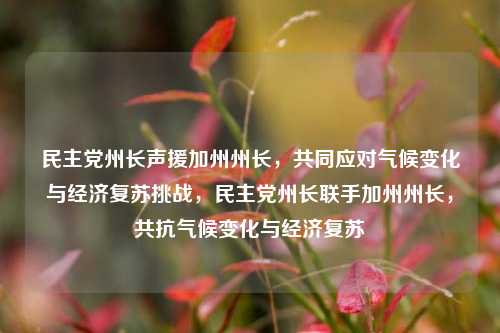 民主党州长声援加州州长，共同应对气候变化与经济复苏挑战，民主党州长联手加州州长，共抗气候变化与经济复苏