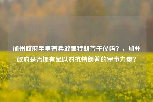 加州政府手里有兵敢跟特朗普干仗吗？，加州政府是否拥有足以对抗特朗普的军事力量？