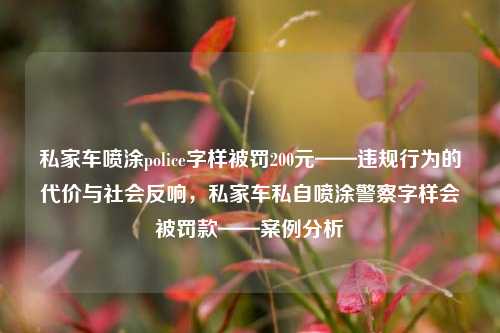 私家车喷涂police字样被罚200元——违规行为的代价与社会反响，私家车私自喷涂警察字样会被罚款——案例分析