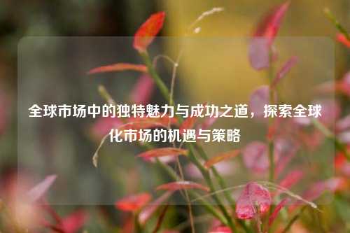 全球市场中的独特魅力与成功之道，探索全球化市场的机遇与策略
