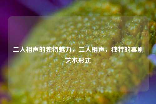二人相声的独特魅力，二人相声，独特的喜剧艺术形式