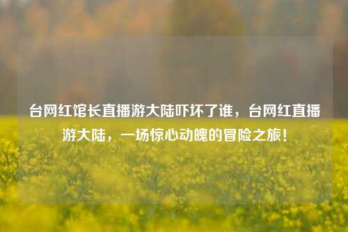 台网红馆长直播游大陆吓坏了谁，台网红直播游大陆，一场惊心动魄的冒险之旅！