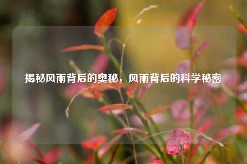揭秘风雨背后的奥秘，风雨背后的科学秘密