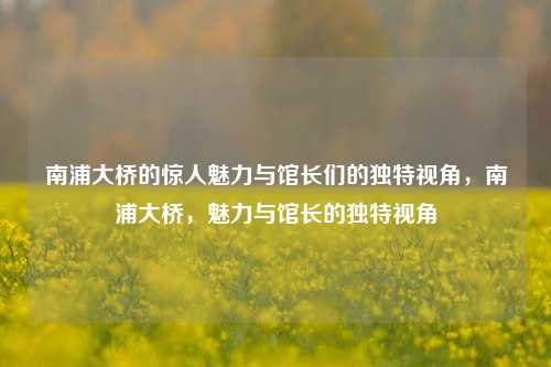 南浦大桥的惊人魅力与馆长们的独特视角，南浦大桥，魅力与馆长的独特视角