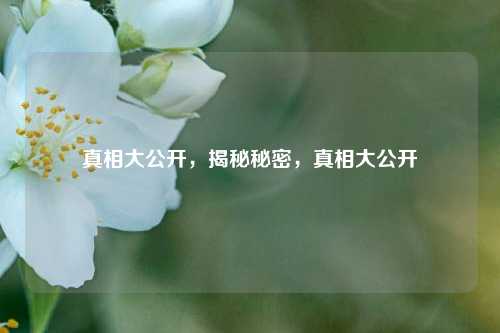 真相大公开，揭秘秘密，真相大公开