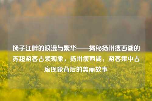 扬子江畔的浪漫与繁华——揭秘扬州瘦西湖的苏超游客占领现象，扬州瘦西湖，游客集中占座现象背后的美丽故事