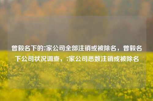 曾毅名下的7家公司全部注销或被除名，曾毅名下公司状况调查，7家公司悉数注销或被除名