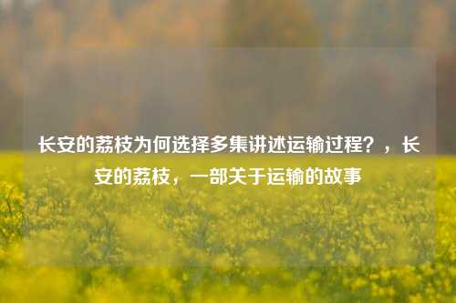 长安的荔枝为何选择多集讲述运输过程？，长安的荔枝，一部关于运输的故事