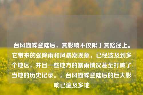 台风蝴蝶登陆后，其影响不仅限于其路径上。它带来的强降雨和风暴潮现象，已经波及到多个地区，并且一些地方的暴雨情况甚至打破了当地的历史记录。，台风蝴蝶登陆后的巨大影响已遍及多地