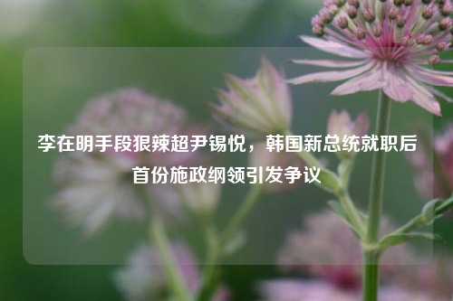 李在明手段狠辣超尹锡悦，韩国新总统就职后首份施政纲领引发争议