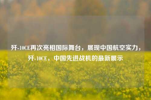 歼-10CE再次亮相国际舞台，展现中国航空实力，歼-10CE，中国先进战机的最新展示