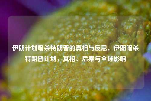 伊朗计划暗杀特朗普的真相与反思，伊朗暗杀特朗普计划，真相、后果与全球影响
