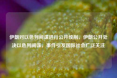 伊朗对以色列间谍进行公开绞刑，伊朗公开处决以色列间谍，事件引发国际社会广泛关注