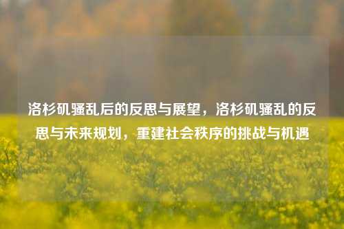 洛杉矶骚乱后的反思与展望，洛杉矶骚乱的反思与未来规划，重建社会秩序的挑战与机遇