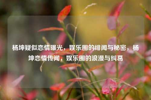 杨坤疑似恋情曝光，娱乐圈的绯闻与秘密，杨坤恋情传闻，娱乐圈的浪漫与纠葛