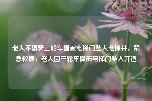 老人不慎骑三轮车撞破电梯门坠入电梯井，紧急救援，老人因三轮车撞击电梯门坠入井道