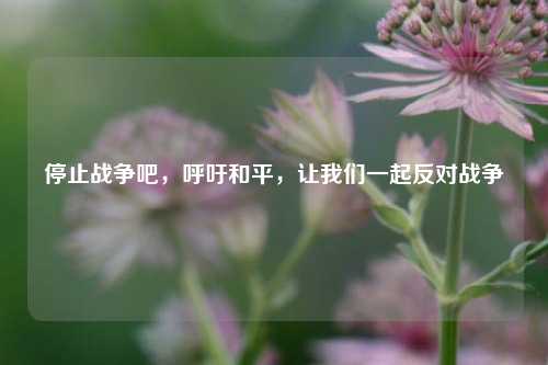 停止战争吧，呼吁和平，让我们一起反对战争